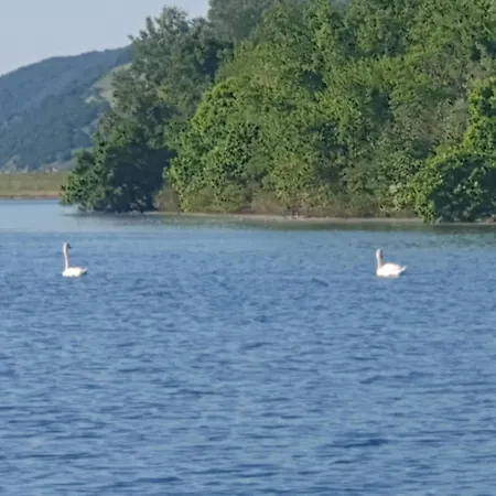 Tina - Srebrno Jezero * Zatonje
