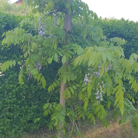 Tina - Srebrno Jezero Apartment Zatonje