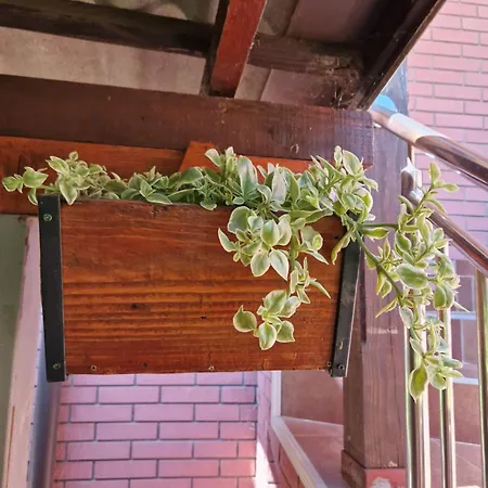 Tina - Srebrno Jezero Apartment