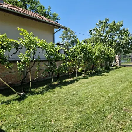 Apartment Tina - Srebrno Jezero *