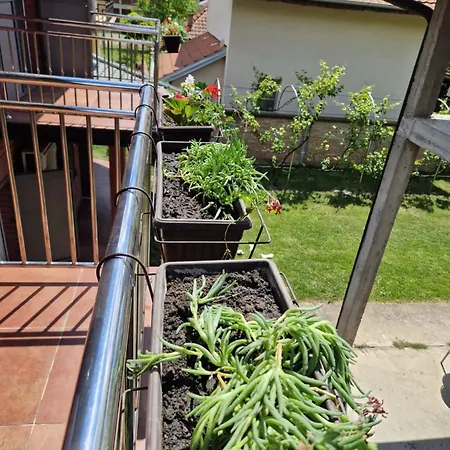 Apartment Tina - Srebrno Jezero *