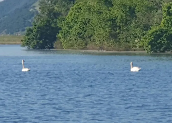 Tina - Srebrno Jezero * Zatonje
