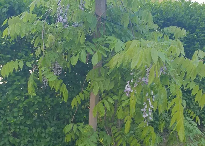 Tina - Srebrno Jezero شقة Zatonje