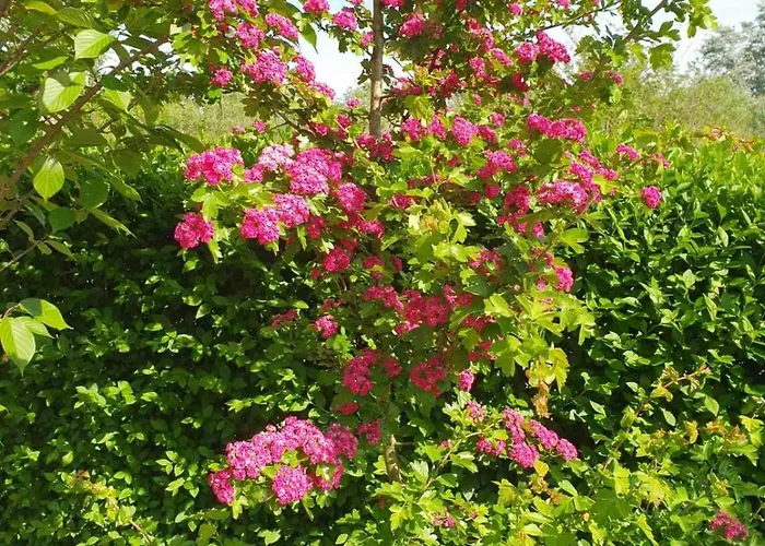 Tina - Srebrno Jezero *