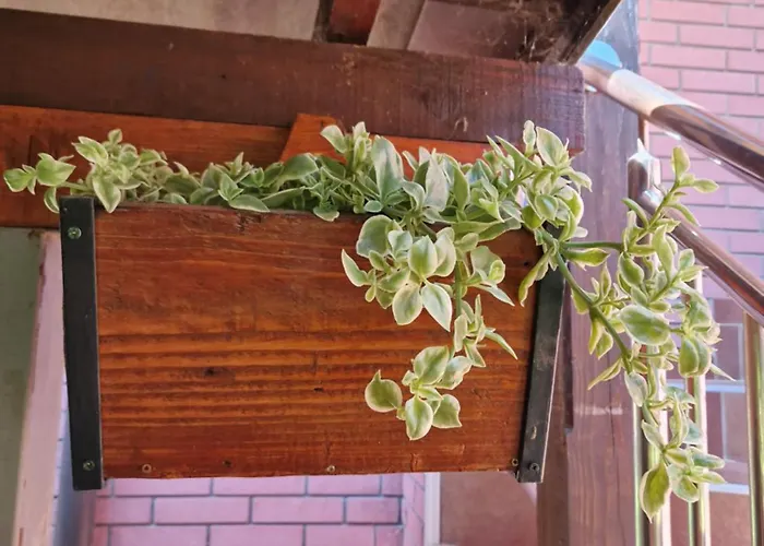 Tina - Srebrno Jezero شقة